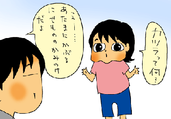かつらってなに？