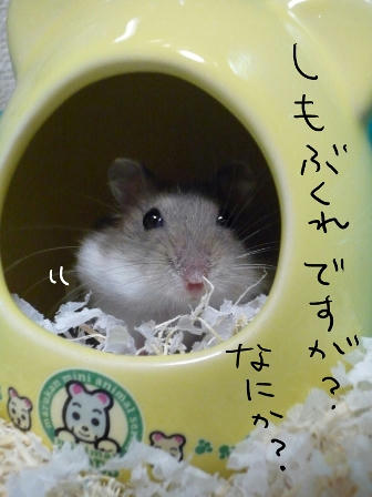 しもぶくれですがなにか？