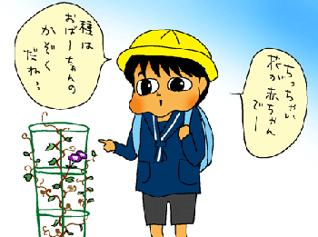 朝顔の家族