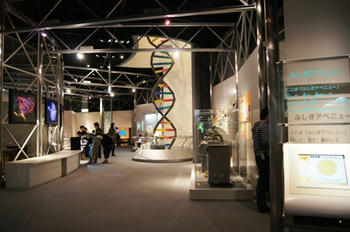 科学の展示