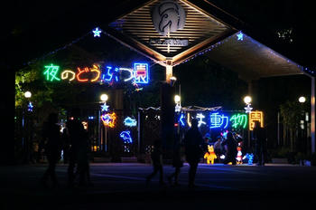 夜の動物園