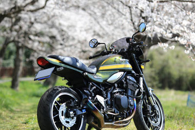 Z900RSと桜