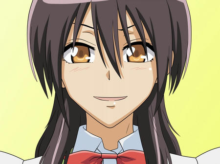 会長はメイド様!