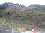 CA3I01280001.jpg