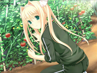 TVG-PS2-0236A_03.jpg