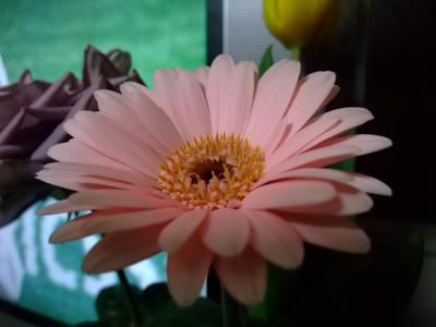 DSCF1201.JPG