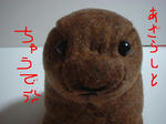 123DSCF0009.JPG