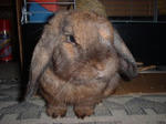 123DSCF0008.JPG