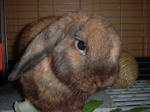 DSCF001000.JPG