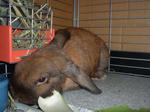 DSCF001313.JPG