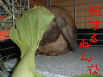 DSCF001611.JPG