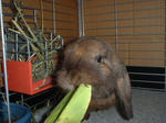 DSCF001817.JPG