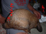 DSCF000212.JPG