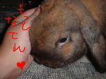 DSCF0007070.JPG