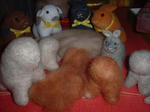 DSCF000303303.JPG