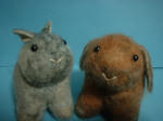 DSCF0012.JPG