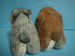 DSCF0015.JPG