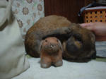 12123DSCF0008.JPG