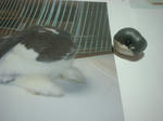 DSCF120013.JPG