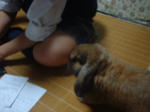 DSCF0011111.JPG