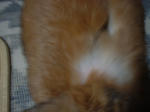 DSCF0550005.JPG