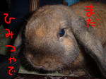 11111DSCF0022.JPG