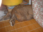 DS857CF0005.JPG