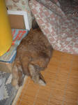 DSCF15840001.JPG