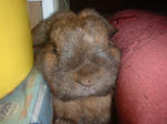 D4SCF0004.JPG
