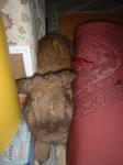 DSC5F0005.JPG