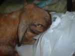 DSCF0010100.JPG