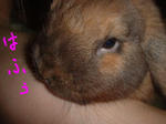 DSCF0017717.JPG