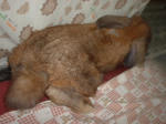 DSCF0029.JPG