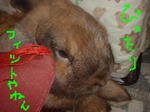 3c2be6f0.JPG