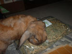 DSCF0178.JPG