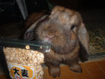DSCF0180.JPG