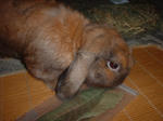 DSCF0179.JPG