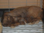 DSCF0237.JPG
