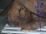 DSCF0245.JPG