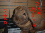 DSCF0279.JPG