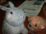 DSCF0294.JPG