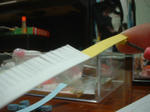 DSCF0327.JPG