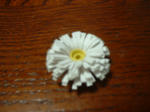 DSCF0333.JPG