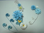 DSCF0339.JPG