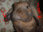 DSCF0371.JPG