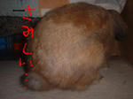 DSCF0368.JPG