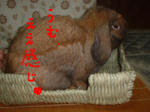 DSCF0519.JPG