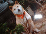 DSCF0537.JPG