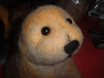 DSCF0543.JPG