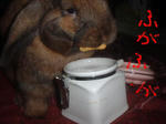 DSCF0353.JPG